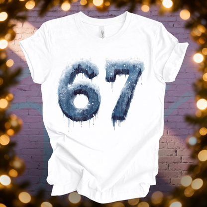 6 - 7 Icy Meme T-Shirt