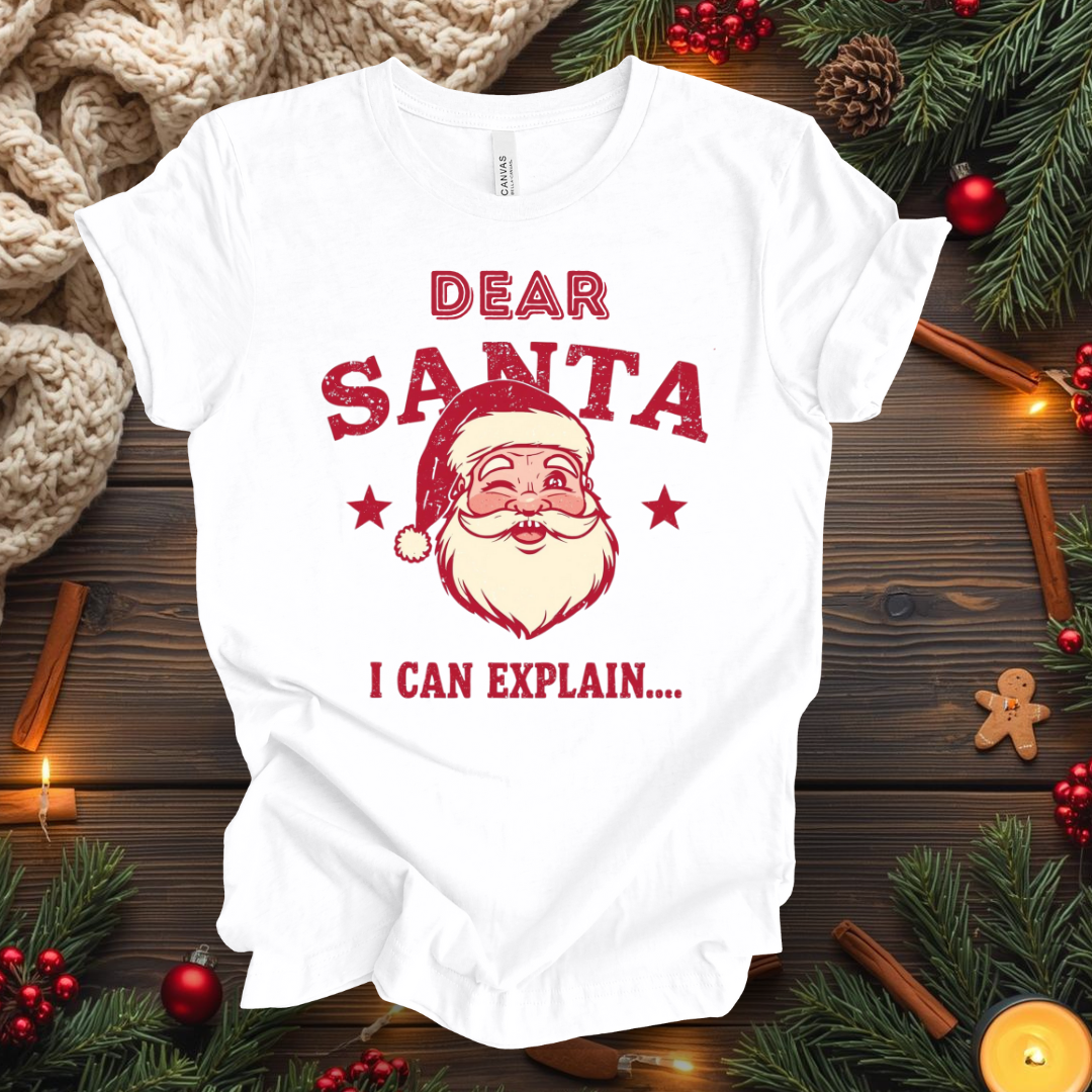 Dear Santa I Can Explain... T-Shirt