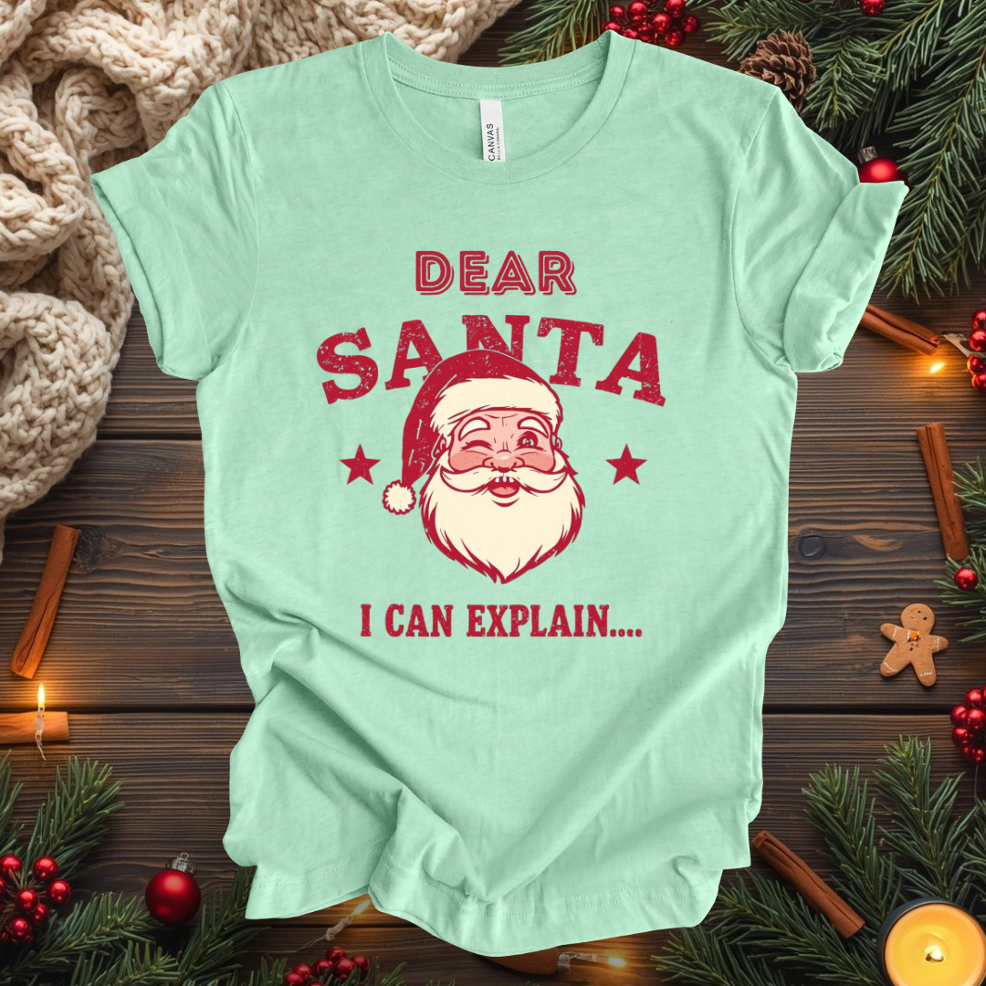 Dear Santa I Can Explain... T-Shirt