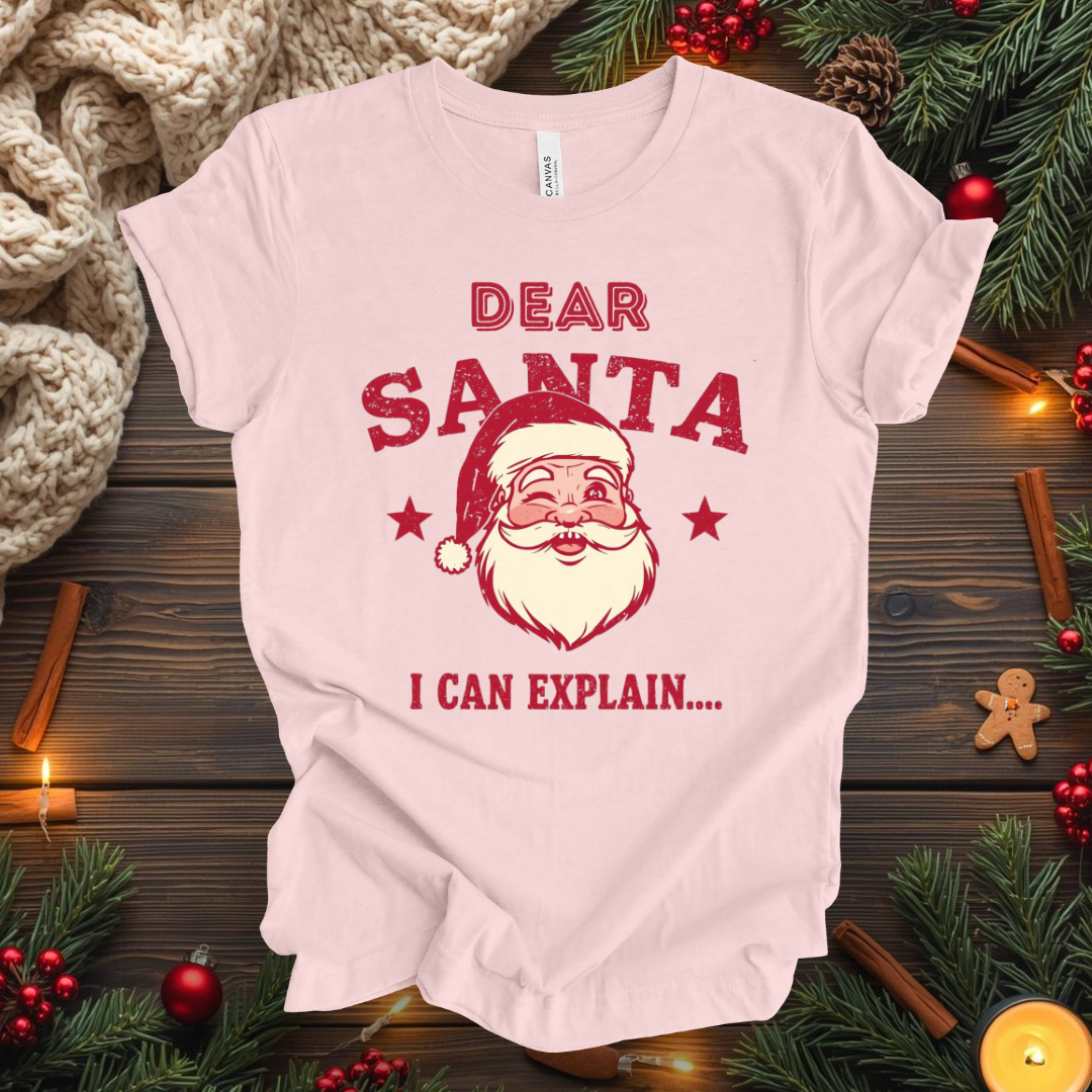 Dear Santa I Can Explain... T-Shirt