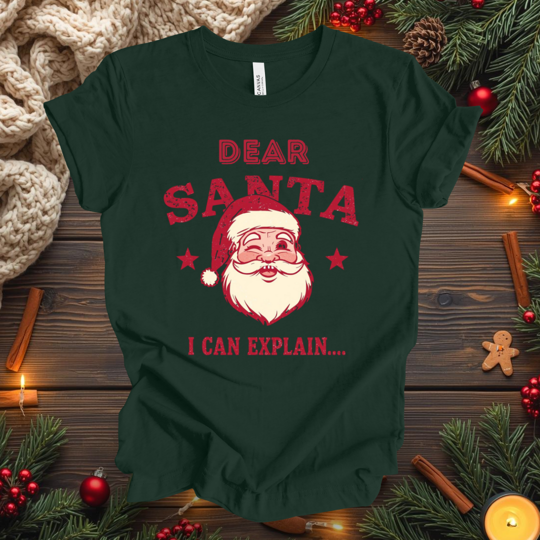 Dear Santa I Can Explain... T-Shirt
