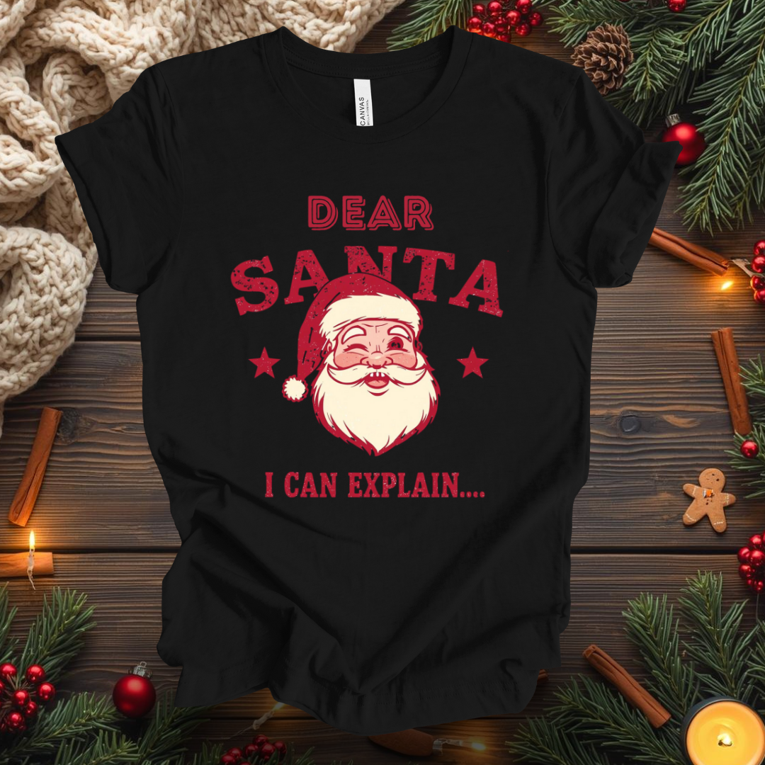 Dear Santa I Can Explain... T-Shirt
